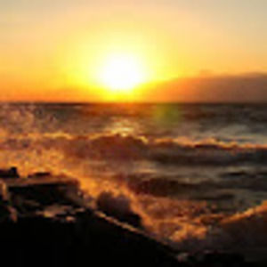 Meet your Posher, Avery